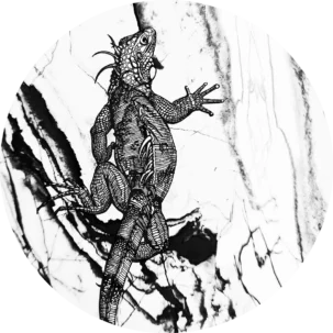 Tapeta w kształcie koła Wild Savanna #1