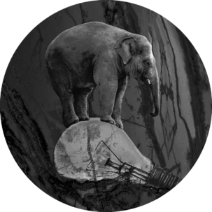 Tapeta w kształcie koła Wild Savanna #10