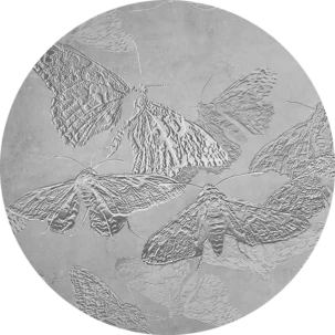 Tapeta w kształcie koła Vibrant Moths #11