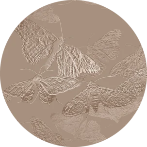 Tapeta w kształcie koła Vibrant Moths #13