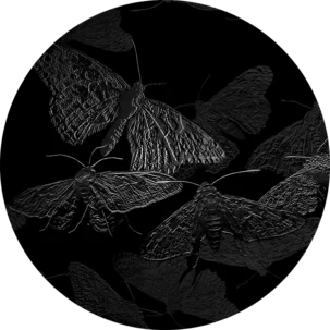 Tapeta w kształcie koła Vibrant Moths #15