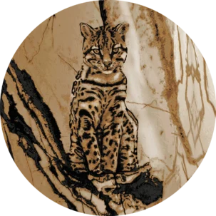 Tapeta w kształcie koła Wild Savanna #3