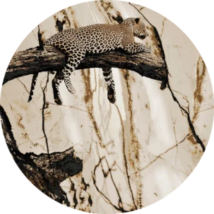 Tapeta w kształcie koła Wild Savanna #6a