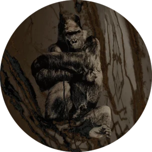 Tapeta w kształcie koła Wild Savanna #8