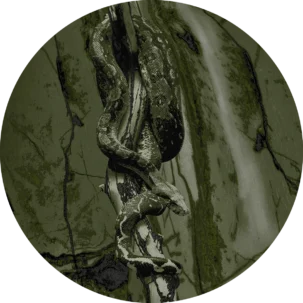 Tapeta w kształcie koła Wild Savanna #9