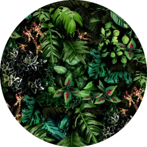 Tapeta w kształcie koła Mysterious Plants #31