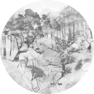 Tapeta w kształcie koła Forest Secrets #52