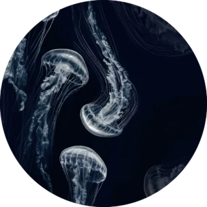 Tapeta w kształcie koła Underwater World #61