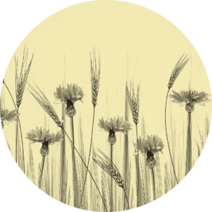 Tapeta w kształcie koła Field Ears #65