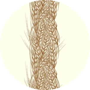 Tapeta w kształcie koła Field Ears #69