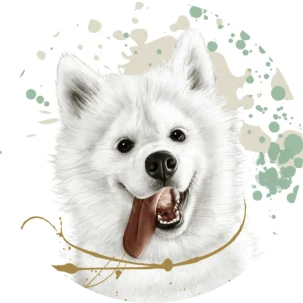 Tapeta w kształcie koła Young Samoyed #75