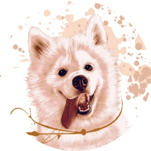 Tapeta w kształcie koła Young Samoyed #77